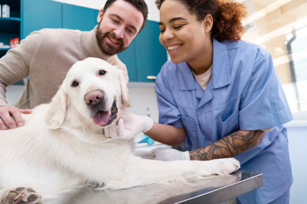 Common Health Issues in Pets in Dubai and How Pet Insurance Can Help ?